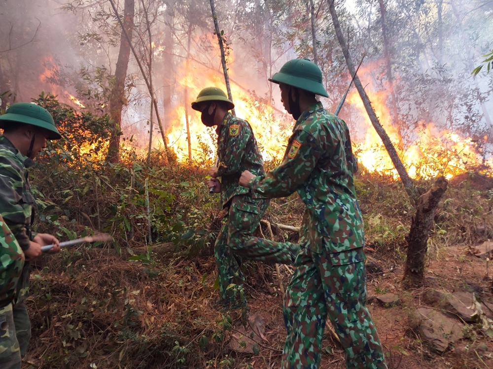 BĐBP Nghệ An tích cực giúp dân phòng, chống thiên tai, chữa cháy rừng.
